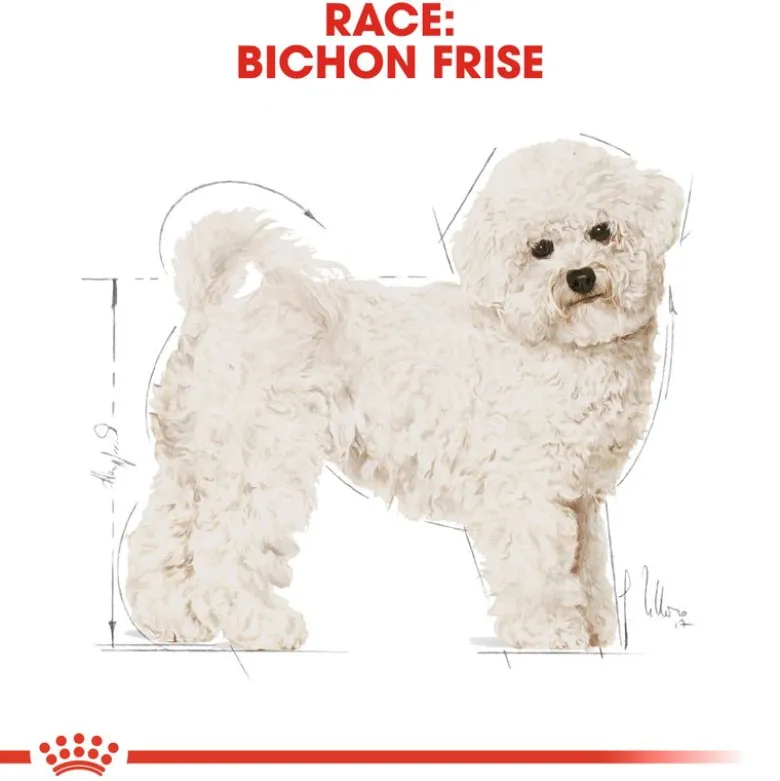 Royal Canin Bichon Frisé Adult