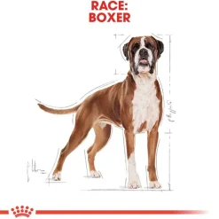 Royal Canin Boxer Adult