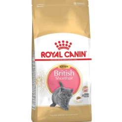 Royal Canin British Shorthair Kitten