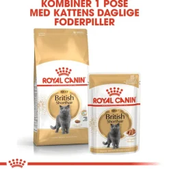 Royal Canin British Shorthair Adult