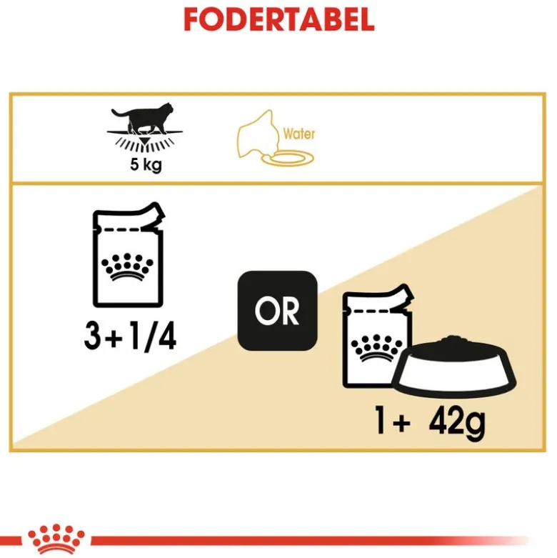 Royal Canin British Shorthair Adult i sauce