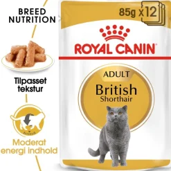 Royal Canin British Shorthair Adult i sauce