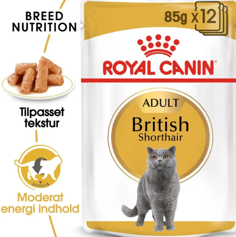 Royal Canin British Shorthair Adult i sauce