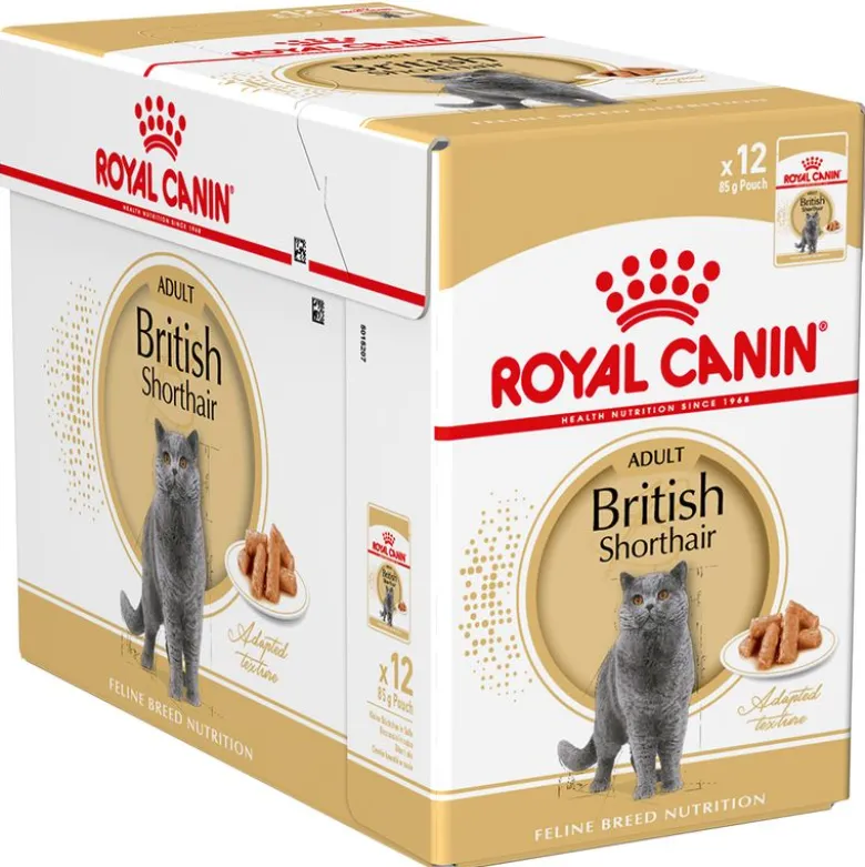 Royal Canin British Shorthair Adult i sauce