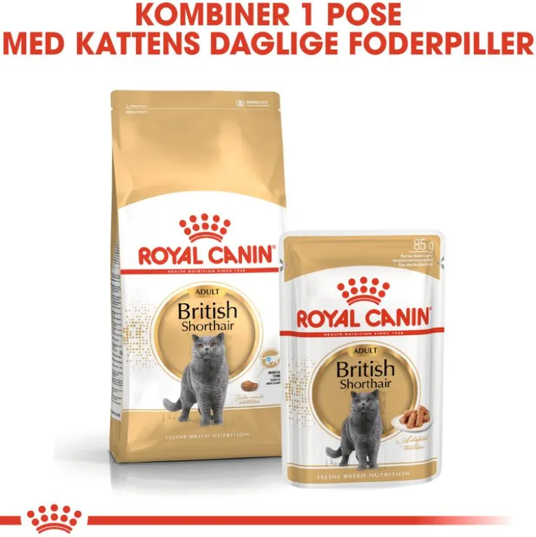 Royal Canin British Shorthair Adult i sauce