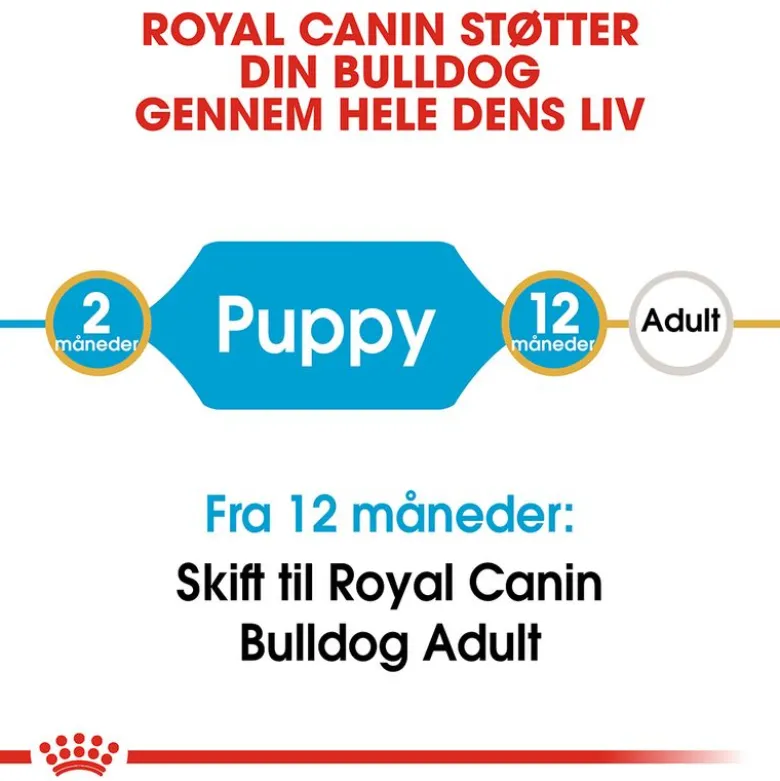 Royal Canin Bulldog Puppy
