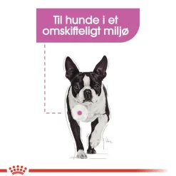 Royal Canin Care Nutrition CCN Relax