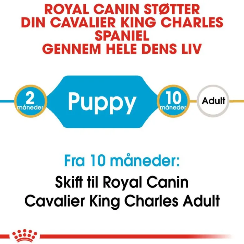 Royal Canin Cavalier King Charles Puppy