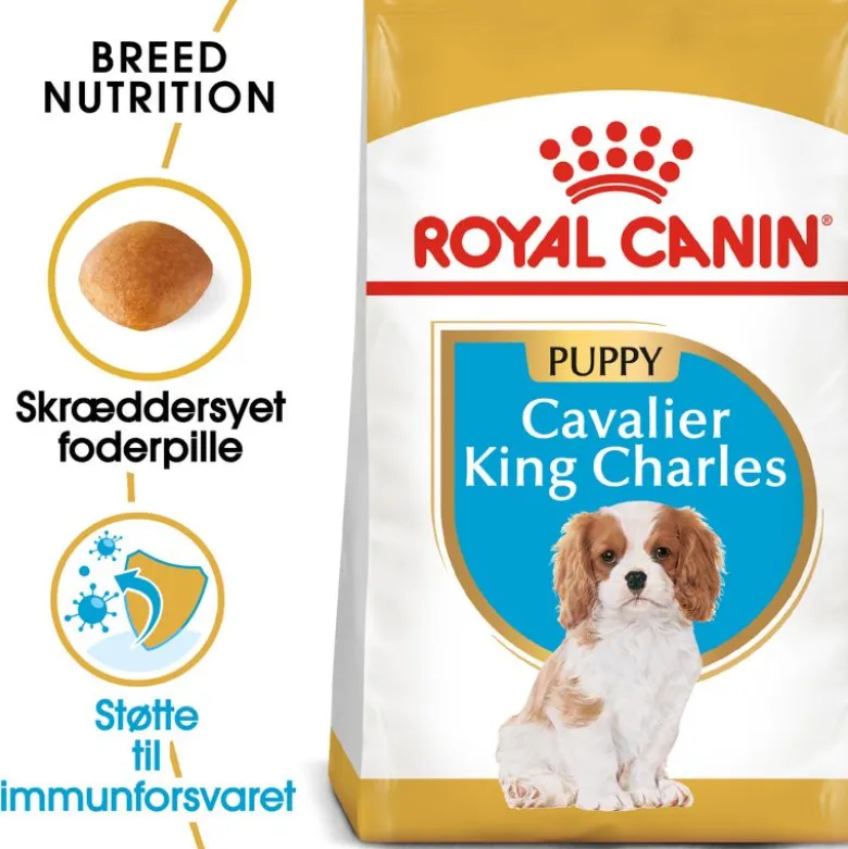 Royal Canin Cavalier King Charles Puppy