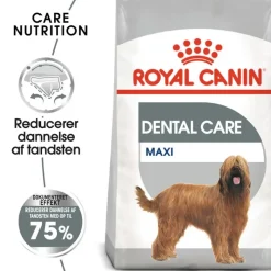 Royal Canin CCN Dental Care Maxi