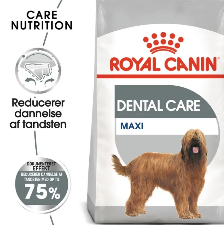 Royal Canin CCN Dental Care Maxi