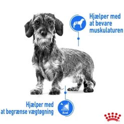 Royal Canin CCN Light Weight Care Mousse