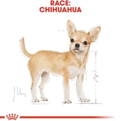 Royal Canin Chihuahua Mousse
