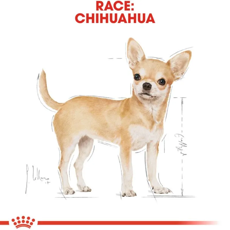 Royal Canin Chihuahua Mousse