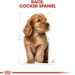 Royal Canin Cocker Puppy