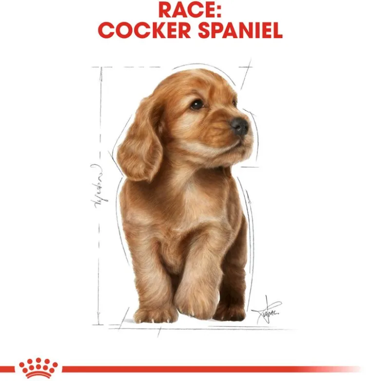 Royal Canin Cocker Puppy