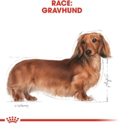Royal Canin Dachshund Adult