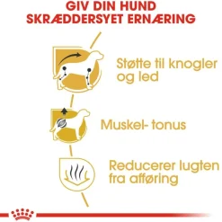 Royal Canin Dachshund Adult