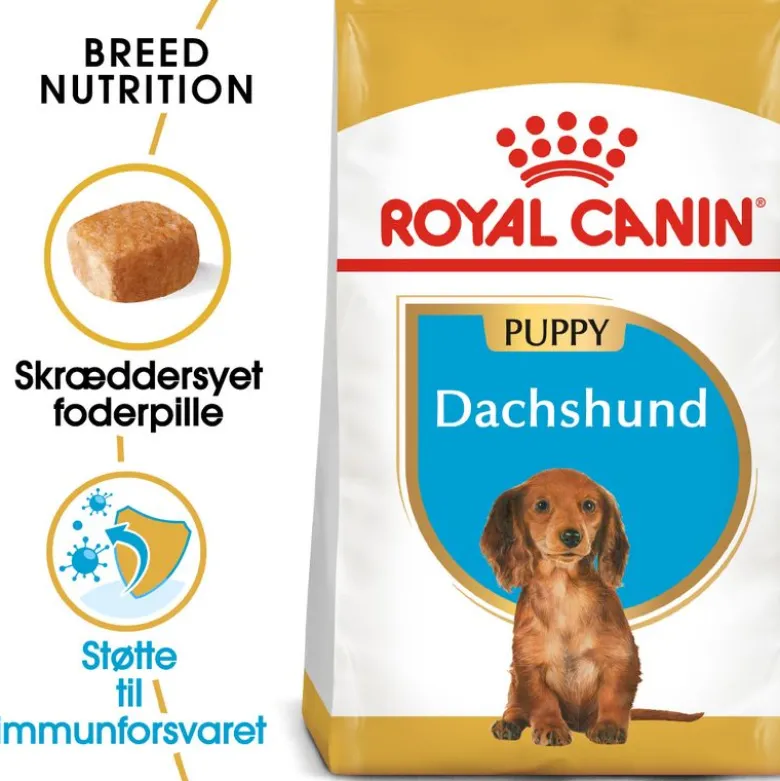 Royal Canin Dachshund Puppy