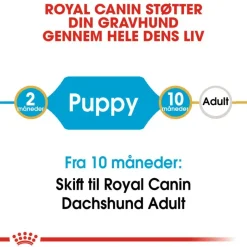Royal Canin Dachshund Puppy