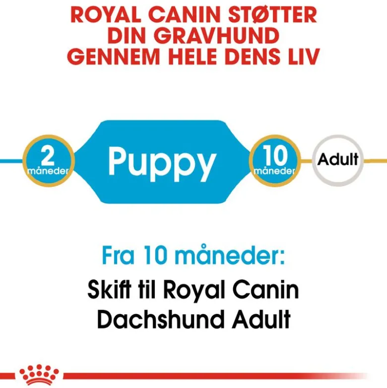 Royal Canin Dachshund Puppy