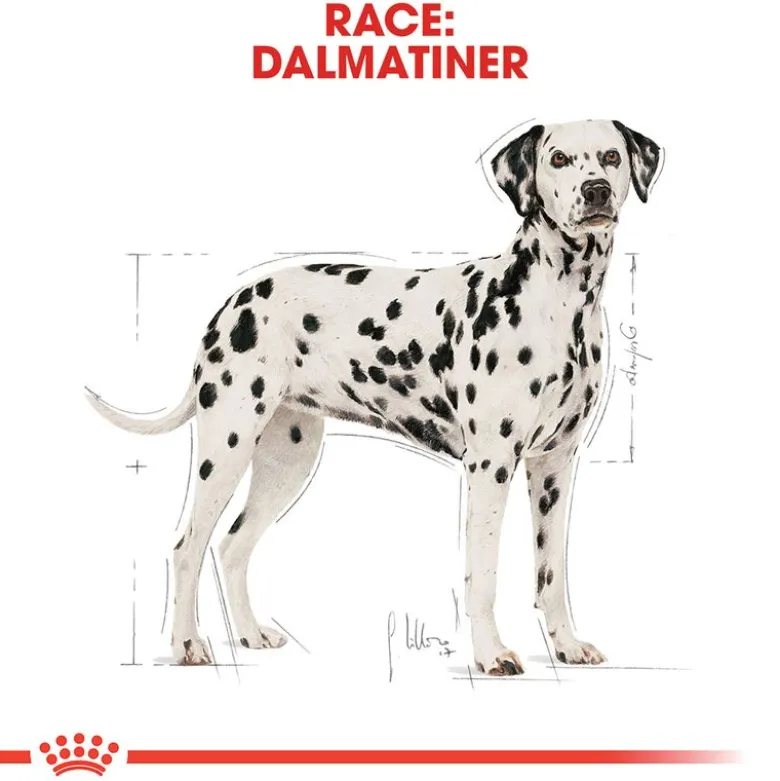 Royal Canin Dalmatian Adult