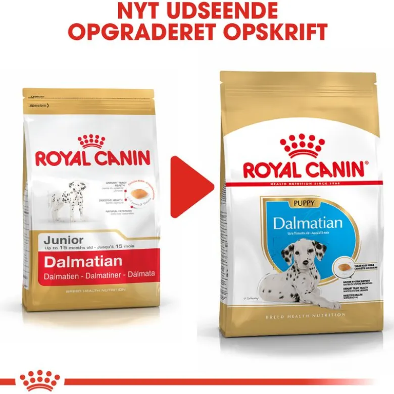 Royal Canin Dalmatian Puppy
