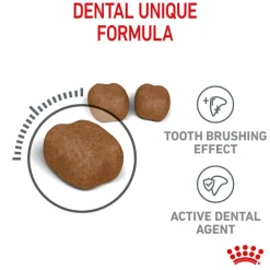 Royal Canin Dental Care