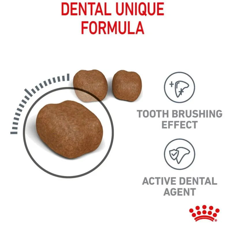 Royal Canin Dental Care
