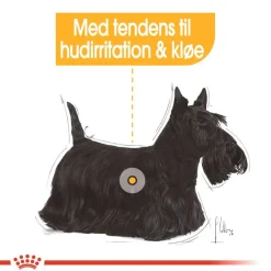 Royal Canin Dermacomfort Mousse