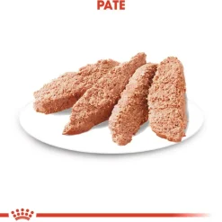 Royal Canin Dermacomfort Mousse