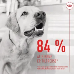 Royal Canin Digestion Adult Supplement tyggesnacks