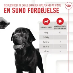 Royal Canin Digestion Adult Supplement tyggesnacks