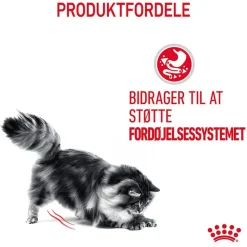 Royal Canin Digestive Care i sauce