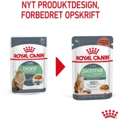 Royal Canin Digestive Care i sauce