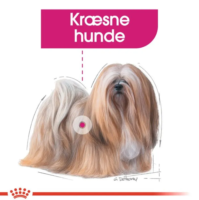 Royal Canin Exigent Mousse