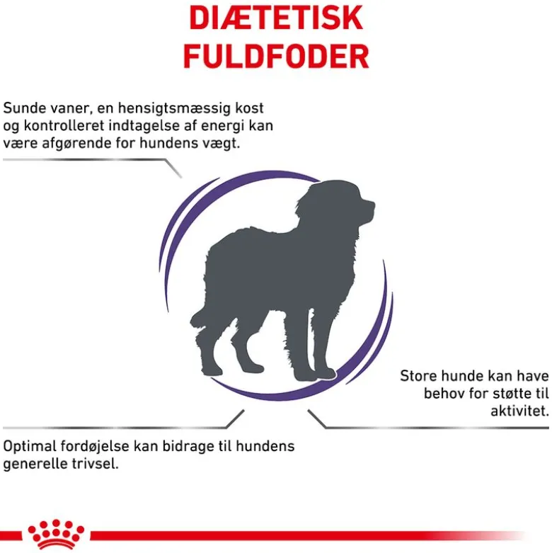 Royal Canin Expert Canine Adult Large Dog
