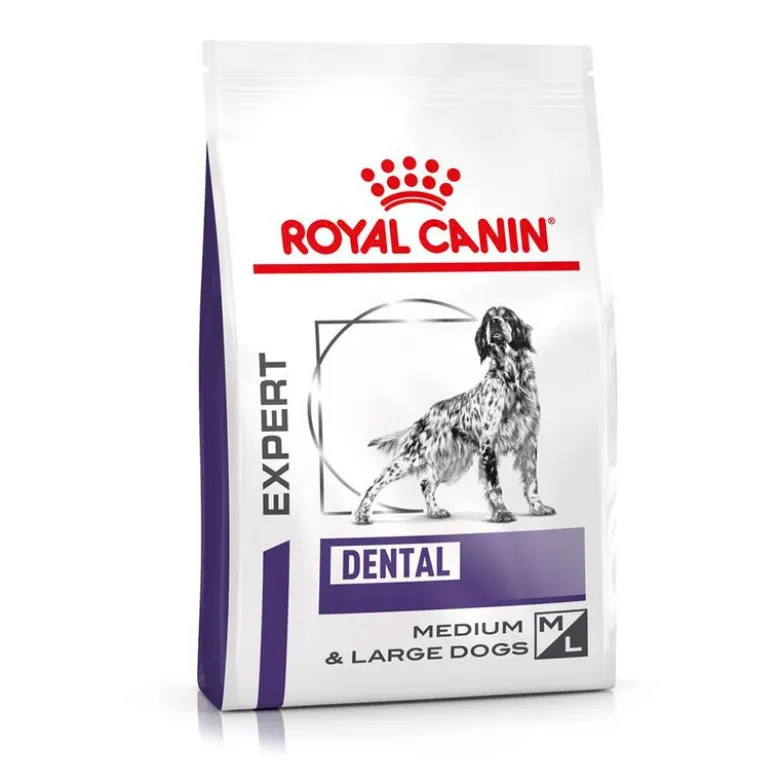 Royal Canin Expert Canine Dental Medium & Large Dog