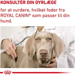 Royal Canin Expert Canine Mature Consult Large Dog