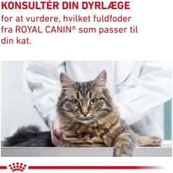 Royal Canin Expert Feline Gastrointestinal Fibre Response