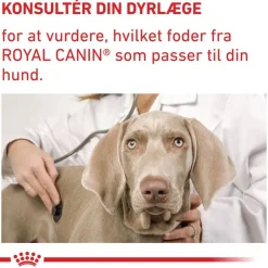Royal Canin Expert Neutered Junior Medium Dogs