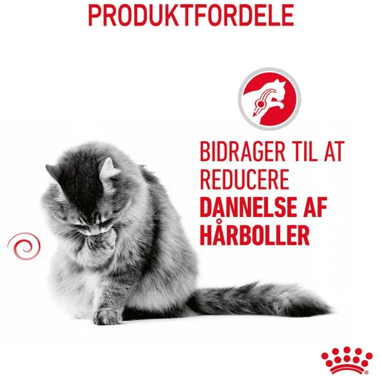 Royal Canin FCN Hairball Care i gelé