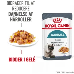 Royal Canin FCN Hairball Care i gelé