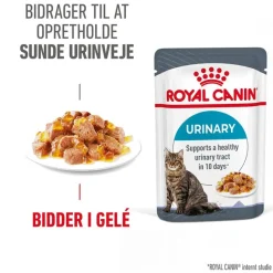 Royal Canin FCN Urinary Care i gelé