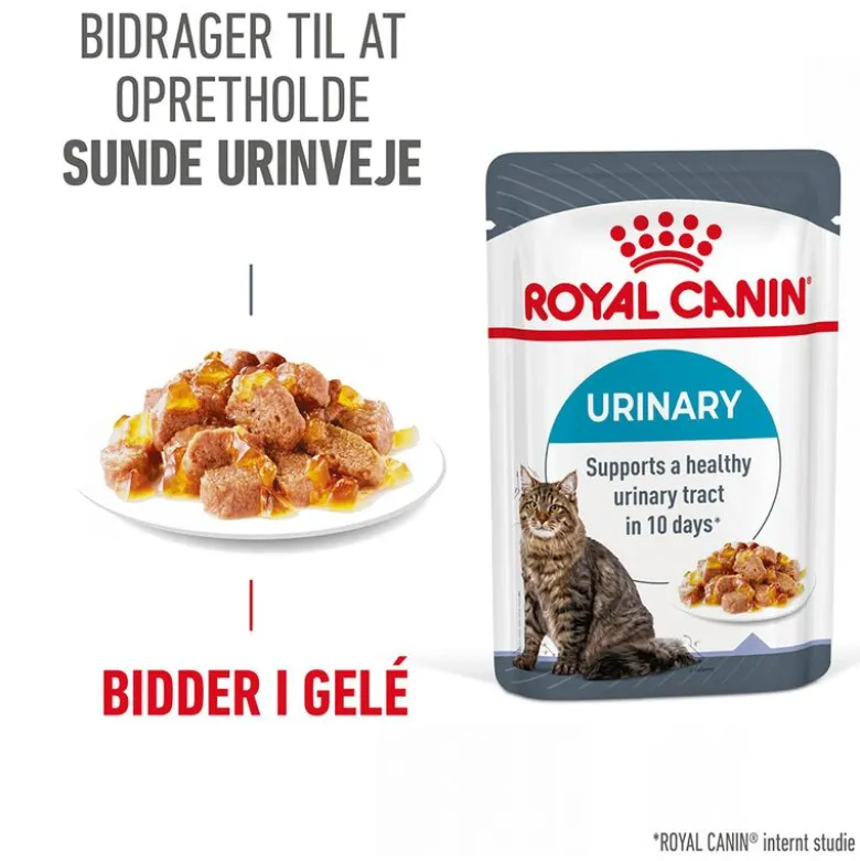 Royal Canin FCN Urinary Care i gelé