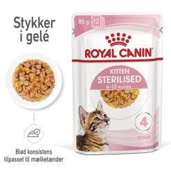 Royal Canin FHN Kitten Sterilised i gelé