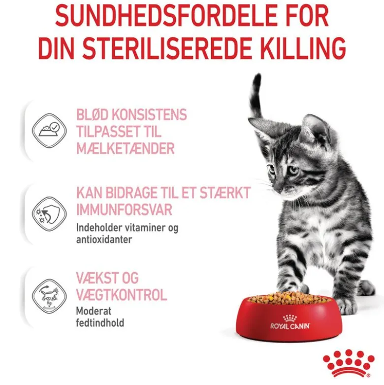 Royal Canin FHN Kitten Sterilised i gelé