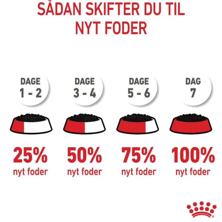 Royal Canin FHN Kitten Sterilised i gelé