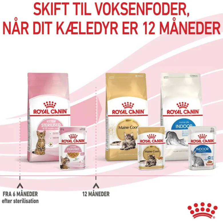Royal Canin FHN Kitten Sterilised i gelé
