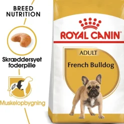 Royal Canin French Bulldog Adult